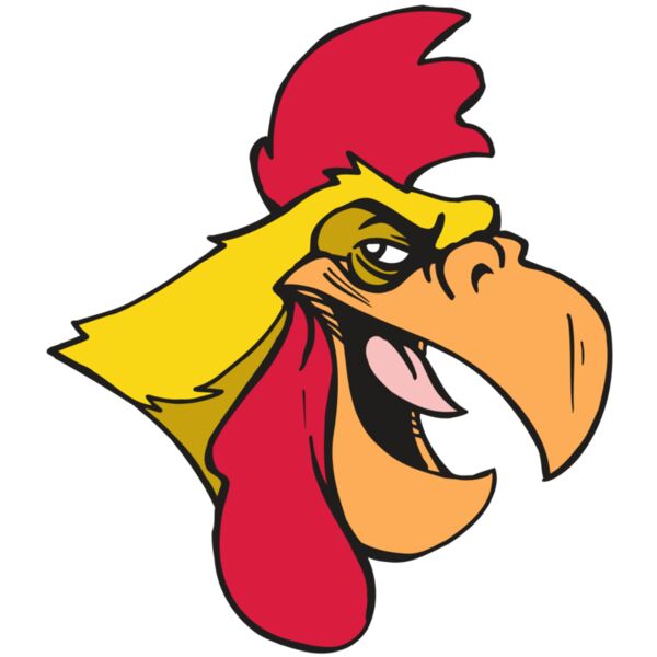 AR5 Gamecock 06 RQC Thumbnail